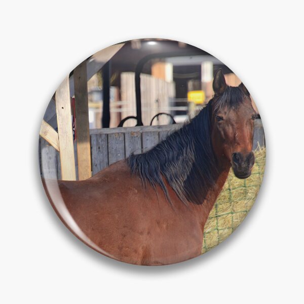 Item preview, Brown horse at the stable designed and sold by ShahrukMoments.