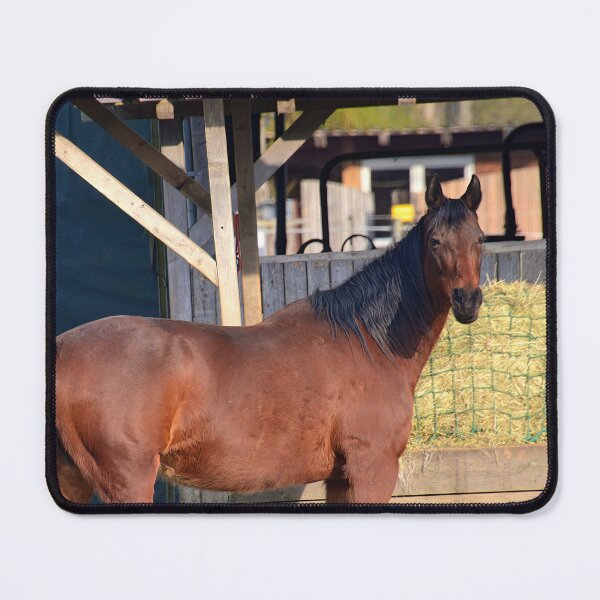 Item preview, Brown horse at the stable designed and sold by ShahrukMoments.