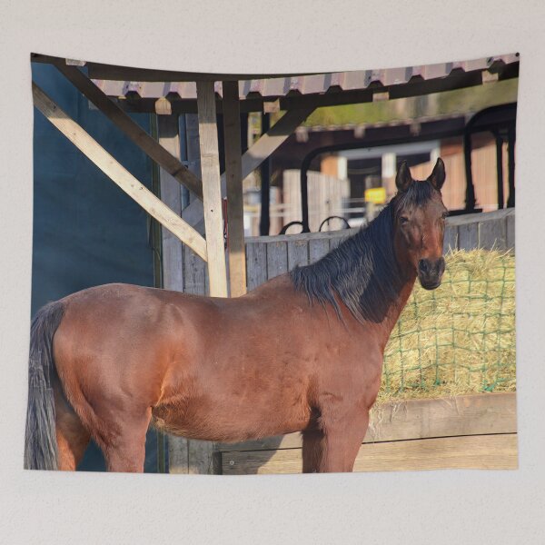 Item preview, Caballo marrón en el establo designed and sold by ShahrukMoments.