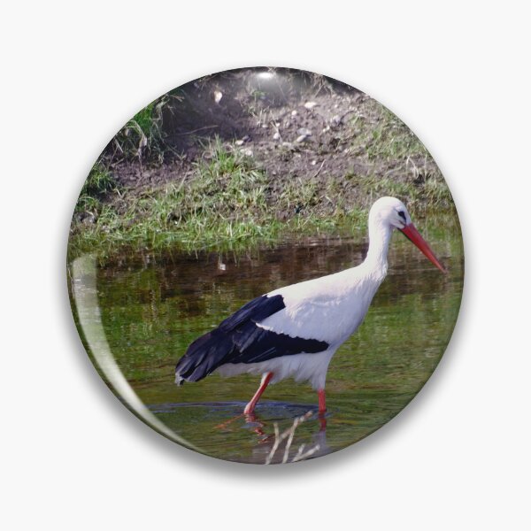 Item preview, White stork in the water designed and sold by ShahrukMoments.