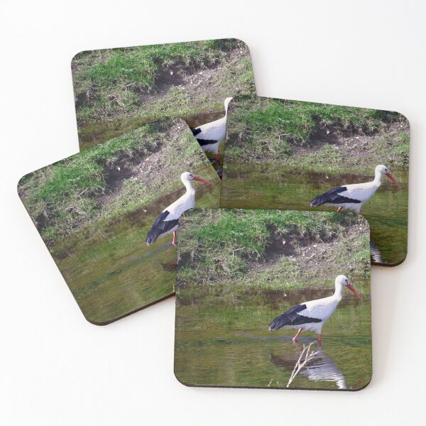 Item preview, White stork in the water designed and sold by ShahrukMoments.