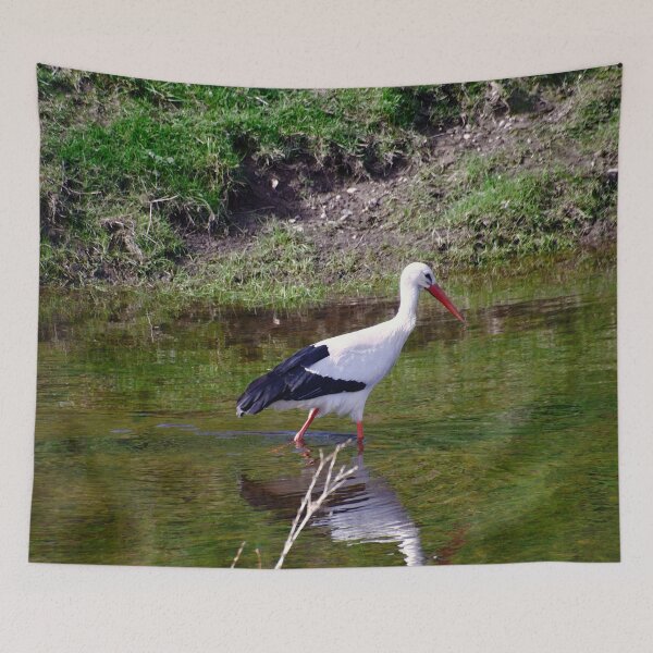 Item preview, White stork in the water designed and sold by ShahrukMoments.