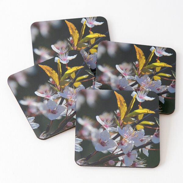 Item preview, Cherry blossoms in the spring light designed and sold by ShahrukMoments.