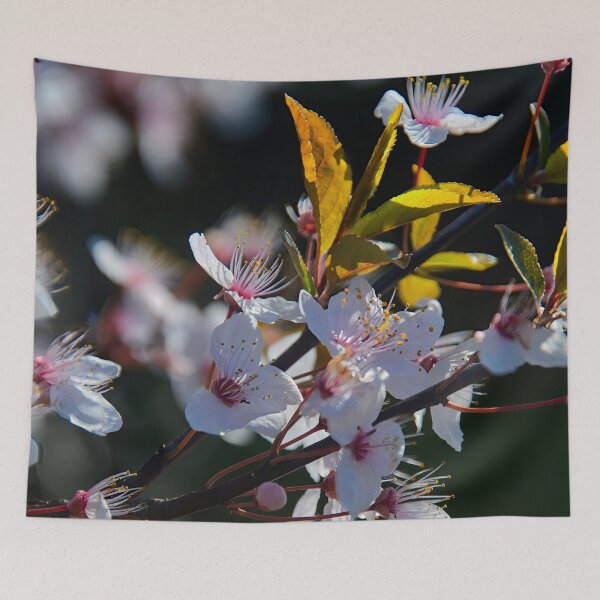 Item preview, Cherry blossoms in the spring light designed and sold by ShahrukMoments.