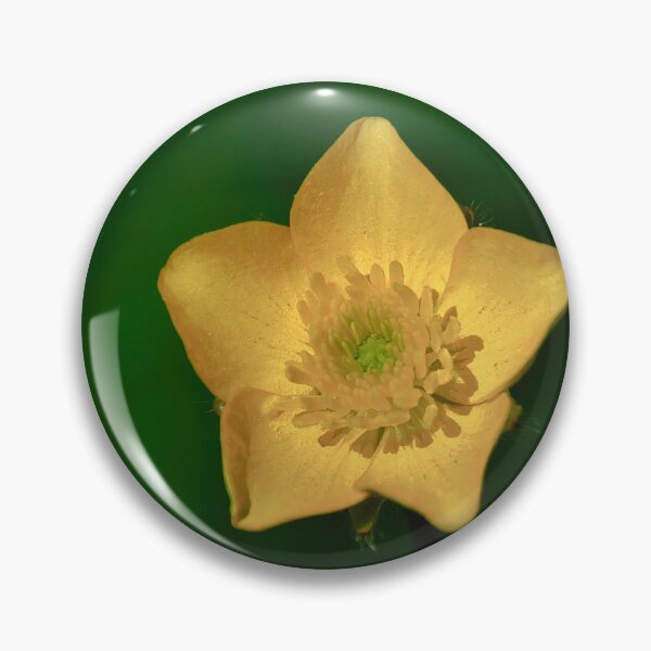 Item preview, Lesser celandine in close-up designed and sold by ShahrukMoments.