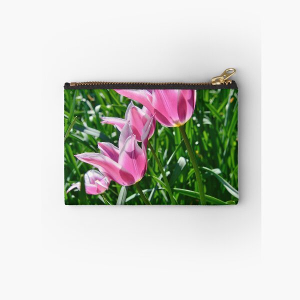 Item preview, Lily-flowered tulip 'Ballade' in sunlight designed and sold by ShahrukMoments.