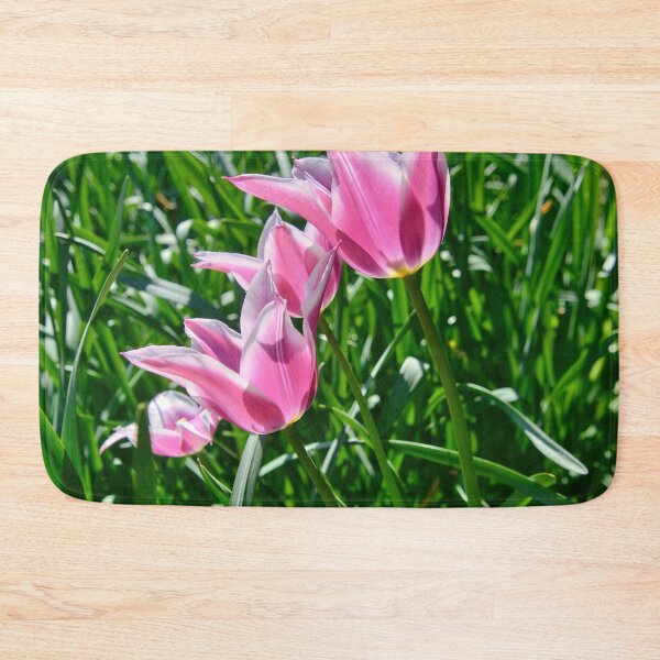 Item preview, Lily-flowered tulip 'Ballade' in sunlight designed and sold by ShahrukMoments.