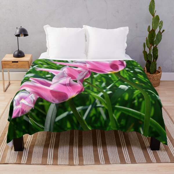 Item preview, Lily-flowered tulip 'Ballade' in sunlight designed and sold by ShahrukMoments.