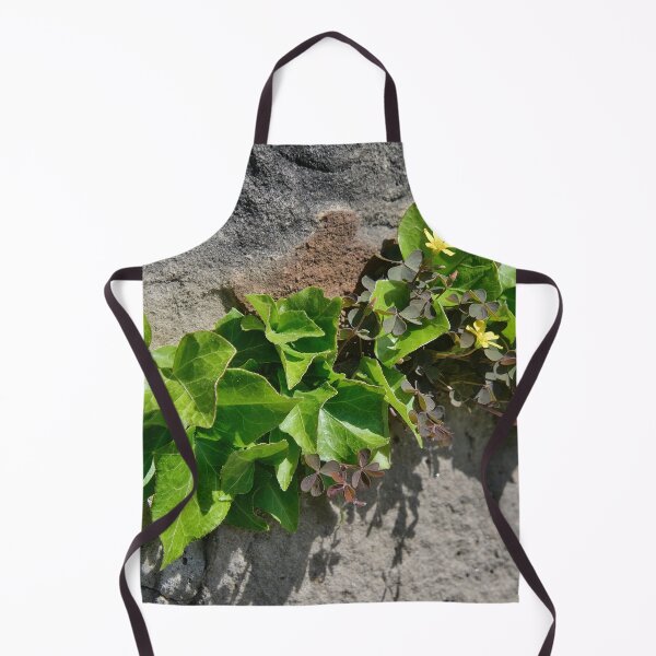 Item preview, Ivy and wood sorrel on a stone wall designed and sold by ShahrukMoments.