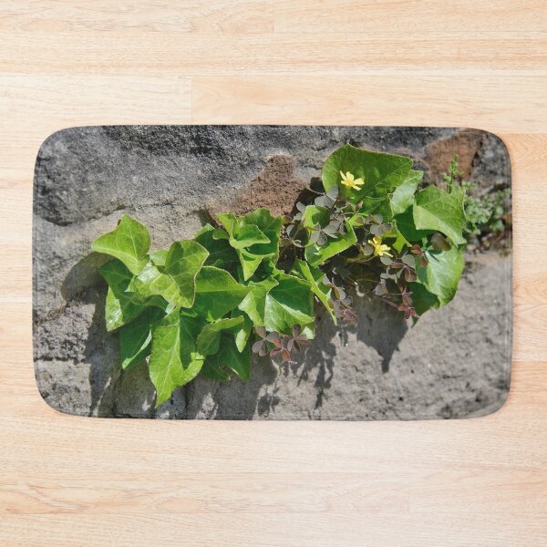 Item preview, Ivy and wood sorrel on a stone wall designed and sold by ShahrukMoments.
