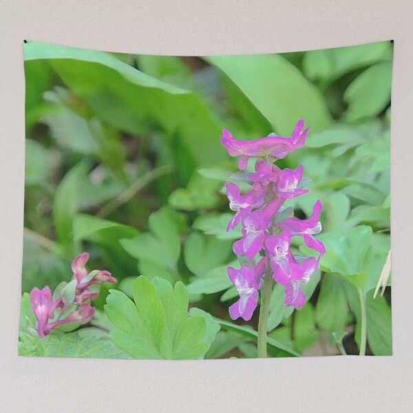 Item preview, Corydalis in the spring green designed and sold by ShahrukMoments.