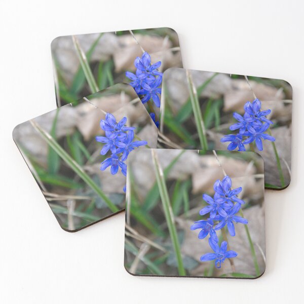 Item preview, Two-leaved squill in the foliage designed and sold by ShahrukMoments.