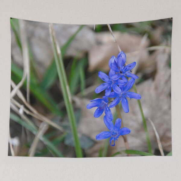 Item preview, Two-leaved squill in the foliage designed and sold by ShahrukMoments.