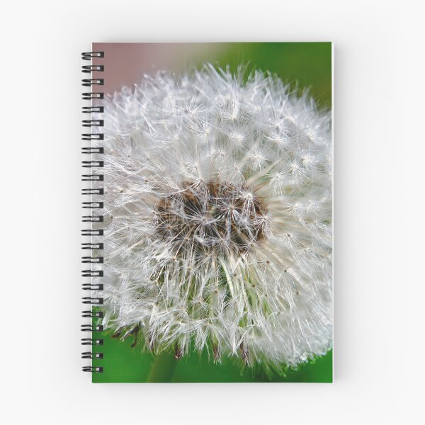 Item preview, Dandelion in seed head designed and sold by ShahrukMoments.