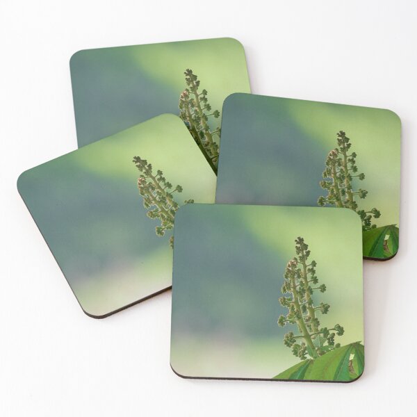 Item preview, Chestnut blossoms in soft light designed and sold by ShahrukMoments.