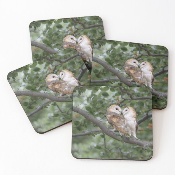Item preview, two barn owls in the forest designed and sold by BCBphotography.