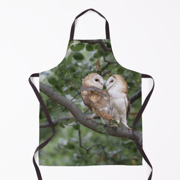 Item preview, two barn owls in the forest designed and sold by BCBphotography.