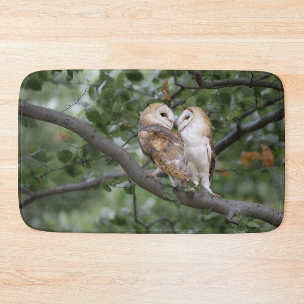 Item preview, two barn owls in the forest designed and sold by BCBphotography.