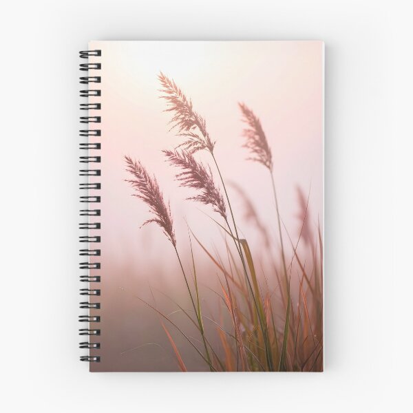 Item preview, Reeds in the fog designed and sold by BCBphotography.