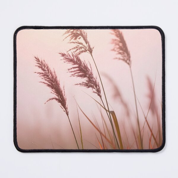 Item preview, Reeds in the fog designed and sold by BCBphotography.