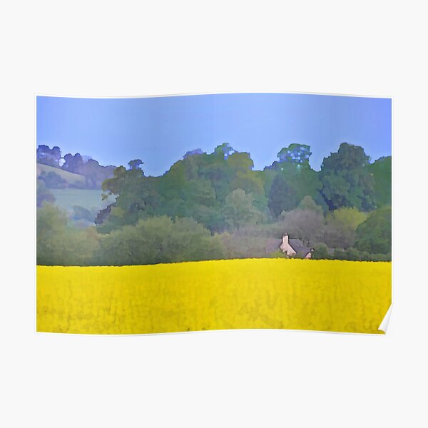 Canola Field Poster