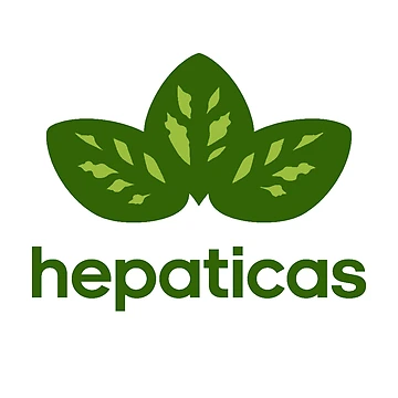 Artwork thumbnail, HEPATICAS by DropsofSun