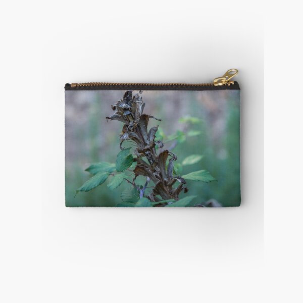 Item preview, Close-Up Of Dried Wildflower Seed Head With Green Leaves In Woodland Autumn Light designed and sold by Nmallia.