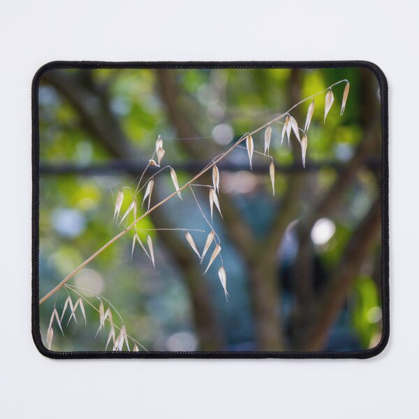 Item preview, Golden Dry Grass Seed Heads With Soft Bokeh Background in Natural Outdoor Setting designed and sold by Nmallia.