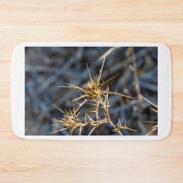 Item preview, Dry Spiky Thistle Plant Close-Up With Sharp Seedheads And Blurred Natural Background designed and sold by Nmallia.