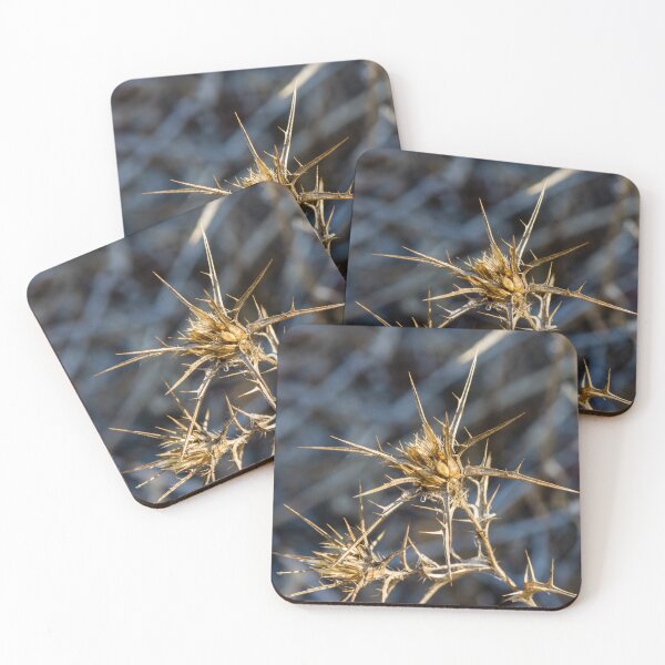 Item preview, Dry Spiky Thistle Plant Close-Up With Sharp Seedheads And Blurred Natural Background designed and sold by Nmallia.