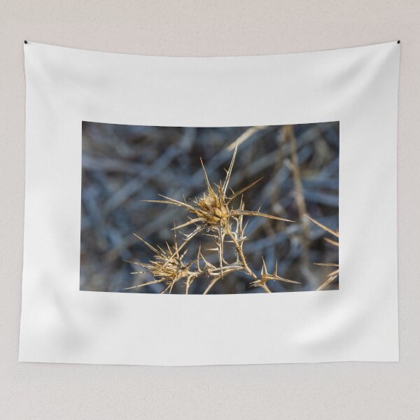 Item preview, Dry Spiky Thistle Plant Close-Up With Sharp Seedheads And Blurred Natural Background designed and sold by Nmallia.