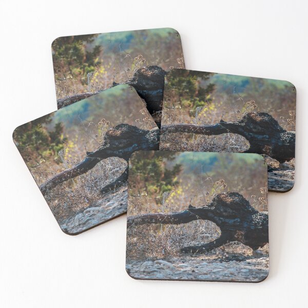 Item preview, Charred Fallen Tree Trunk in Dry Brush on Rocky Hillside After Wildfire designed and sold by Nmallia.