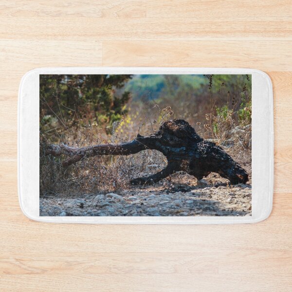 Item preview, Charred Fallen Tree Trunk in Dry Brush on Rocky Hillside After Wildfire designed and sold by Nmallia.