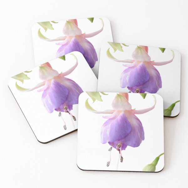 Item preview, Fuchsia  'Prince George'  designed and sold by Chris Burrows.