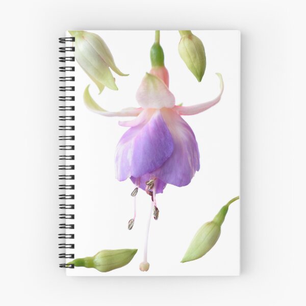 Item preview, Fuchsia  'Prince George'  designed and sold by Chris Burrows.