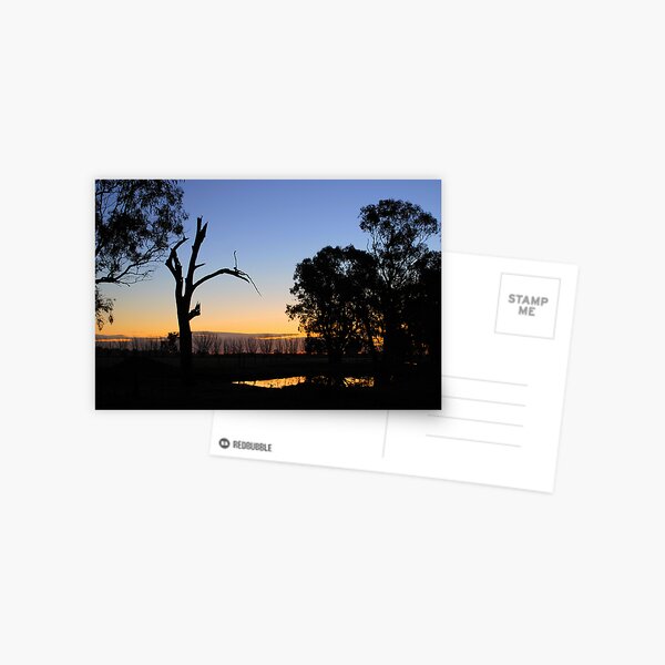 Sunset Sillouette Postcard