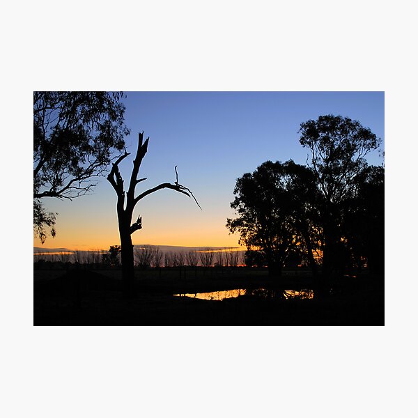 Item preview, Sunset Sillouette designed and sold by Tristen Murray.