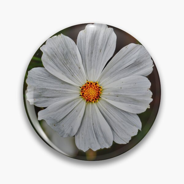 Item preview, Sunlit White Bloom with Golden Center — Macro Floral Photograph designed and sold by Claire_Brown.
