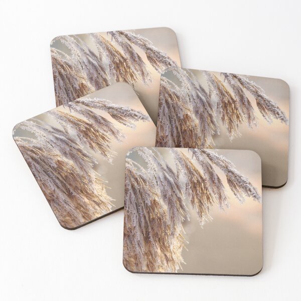 Item preview, Reeds with ice crystals and warm light designed and sold by BCBphotography.