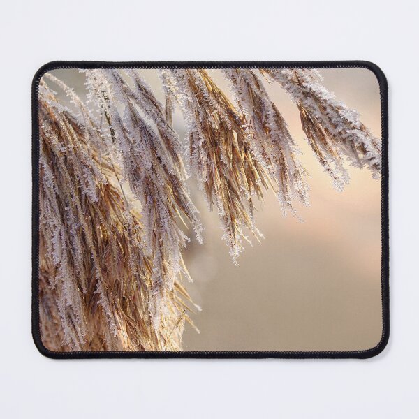 Item preview, Reeds with ice crystals and warm light designed and sold by BCBphotography.