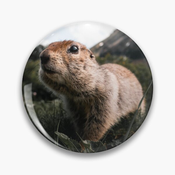 Item preview, cute animal designed and sold by Sanyik1.