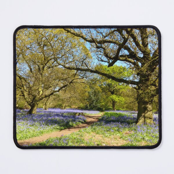 Item preview, Bluebell Woodland designed and sold by Chris Petty.