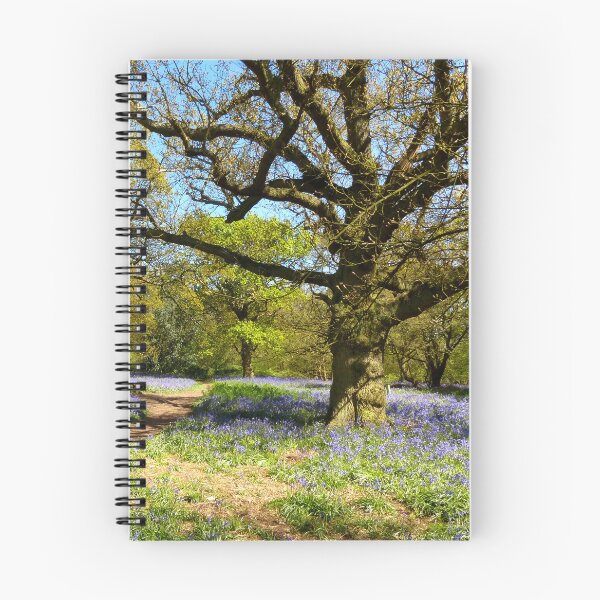 Item preview, Bluebell Woodland designed and sold by Chris Petty.