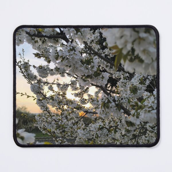 Item preview, Sakura Sunset Flowers  designed and sold by leksa00.