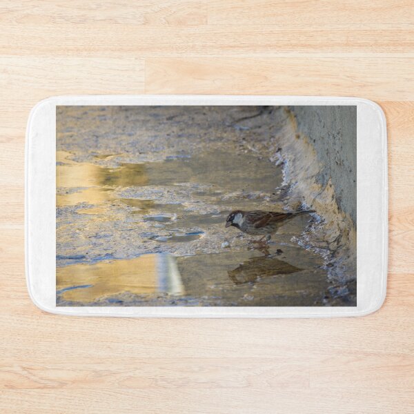 Item preview, House Sparrow Foraging In Puddle Near Concrete Curb With Golden Light Reflection designed and sold by Nmallia.