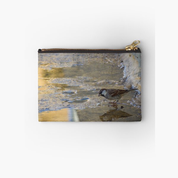 Item preview, House Sparrow Foraging In Puddle Near Concrete Curb With Golden Light Reflection designed and sold by Nmallia.