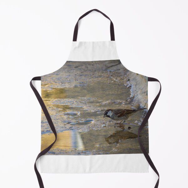 Item preview, House Sparrow Foraging In Puddle Near Concrete Curb With Golden Light Reflection designed and sold by Nmallia.
