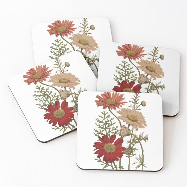 Item preview, Vintage Pyrethrum Roseum Botanical Flower Lithograph designed and sold by Antique Science Press.
