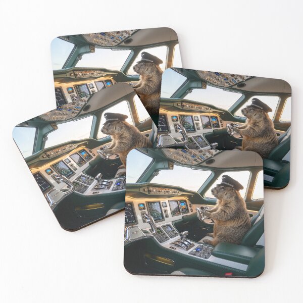 Item preview, Groundhog Pilot Rules the Stratosphere designed and sold by Tridentulus.