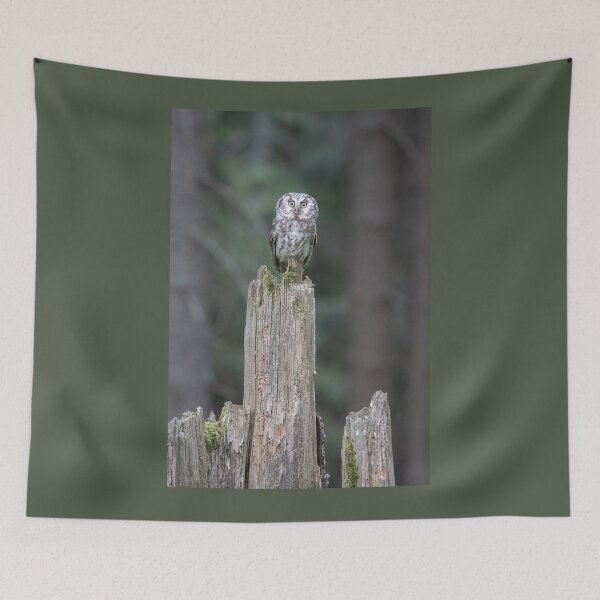 Item preview, Tawny owl on an old tree trunk designed and sold by BCBphotography.